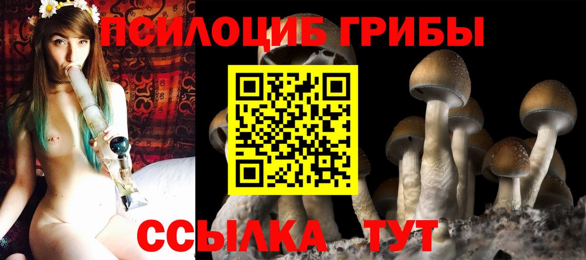 Иваново  Псилоцибиновые грибы Cubensis  Вход с VPN 